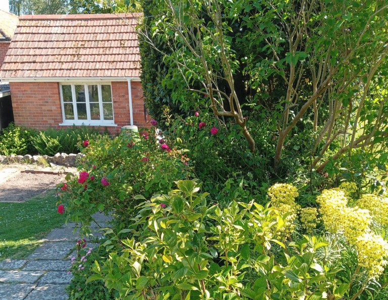 Images for Allington Park, Bridport, Dorset