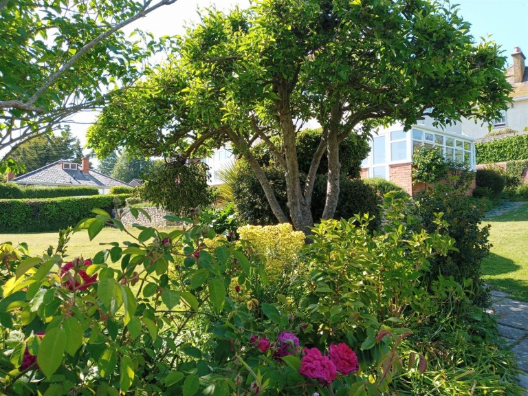 Images for Allington Park, Bridport, Dorset