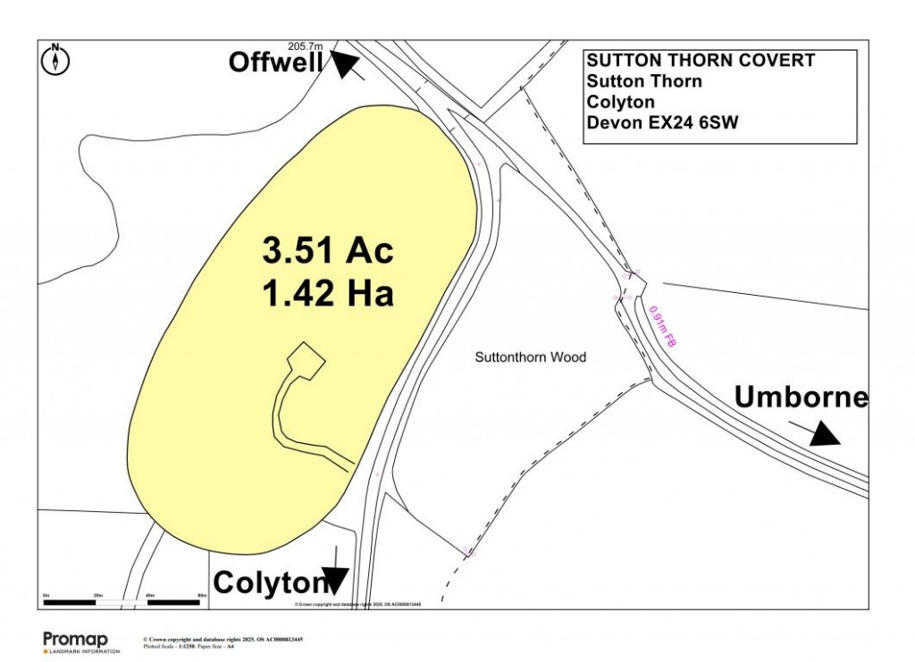Floorplans For Colyton