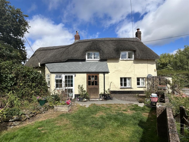 Click the photo for more details of Rose Ash