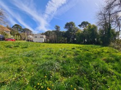 Images for Mile End Road, Newton Abbot