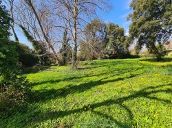 Images for Mile End Road, Newton Abbot