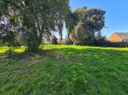 Images for Mile End Road, Newton Abbot