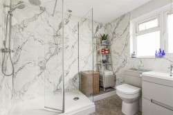 Images for Broadwoodwidger, Lifton