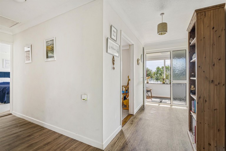 Images for Broadwoodwidger, Lifton