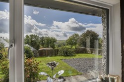 Images for Broadwoodwidger, Lifton