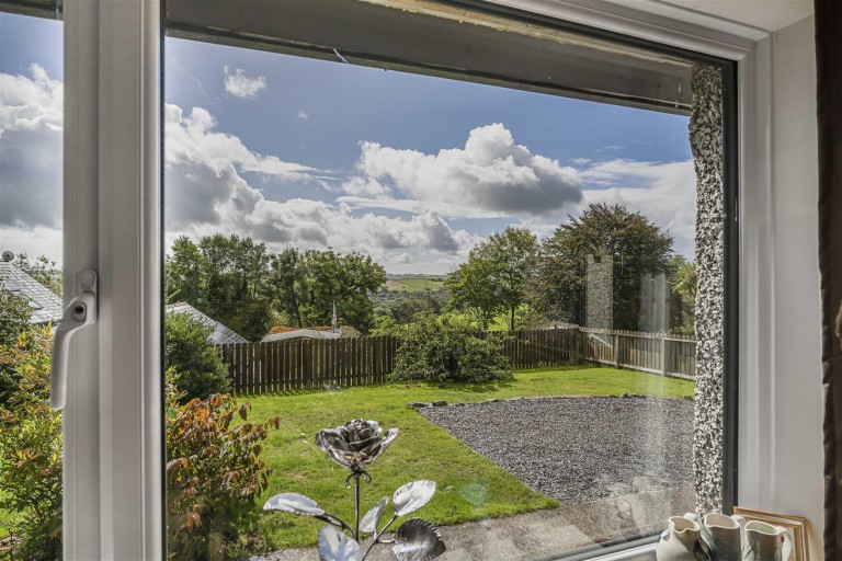 Images for Broadwoodwidger, Lifton