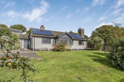 Images for Broadwoodwidger, Lifton