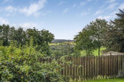 Images for Broadwoodwidger, Lifton