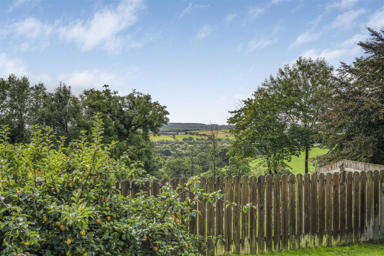 Images for Broadwoodwidger, Lifton