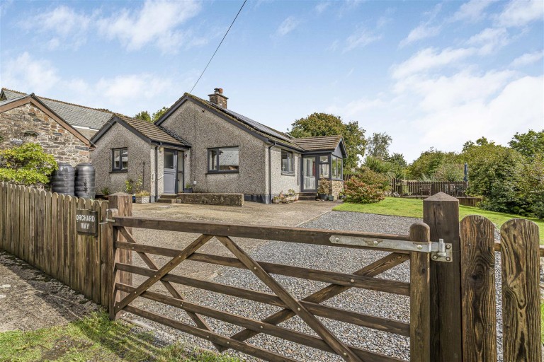 Images for Broadwoodwidger, Lifton