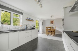 Images for Broadwoodwidger, Lifton
