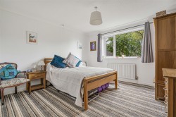 Images for Broadwoodwidger, Lifton