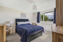 Images for Broadwoodwidger, Lifton
