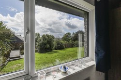 Images for Broadwoodwidger, Lifton