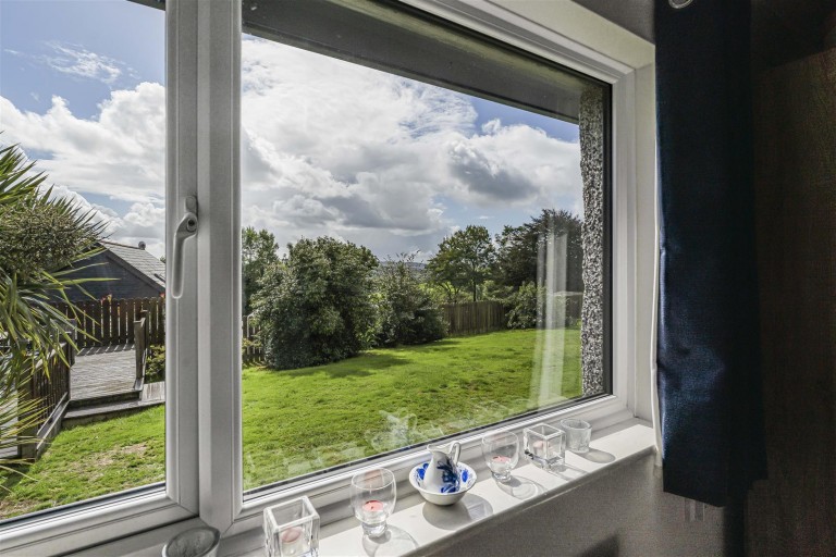 Images for Broadwoodwidger, Lifton