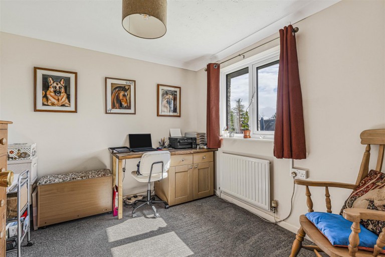 Images for Broadwoodwidger, Lifton