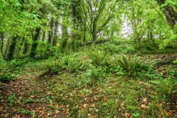 Images for Weare Giffard