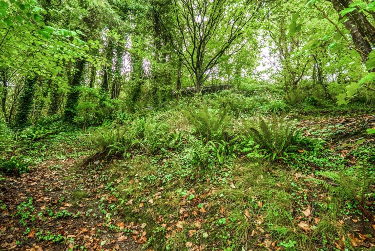 Images for Weare Giffard