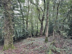 Images for Morchard Bishop, Crediton