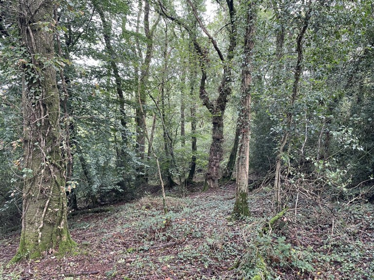 Images for Morchard Bishop, Crediton