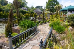 Images for Cockington Village, Torquay