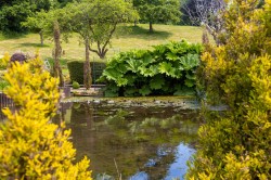 Images for Cockington Village, Torquay