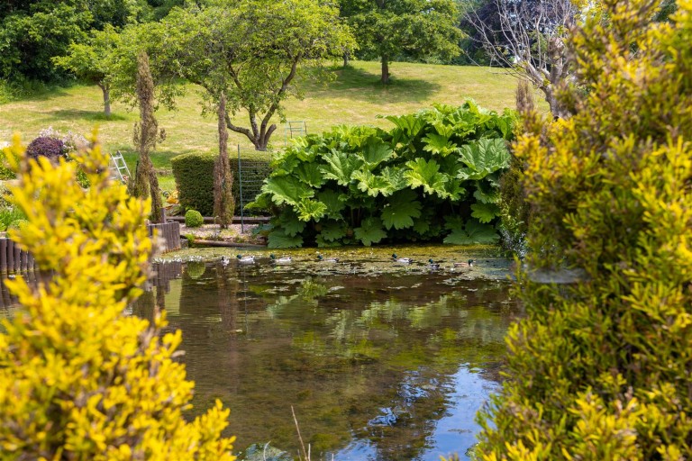 Images for Cockington Village, Torquay