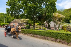 Images for Cockington Village, Torquay