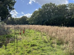 Images for Near Meshaw