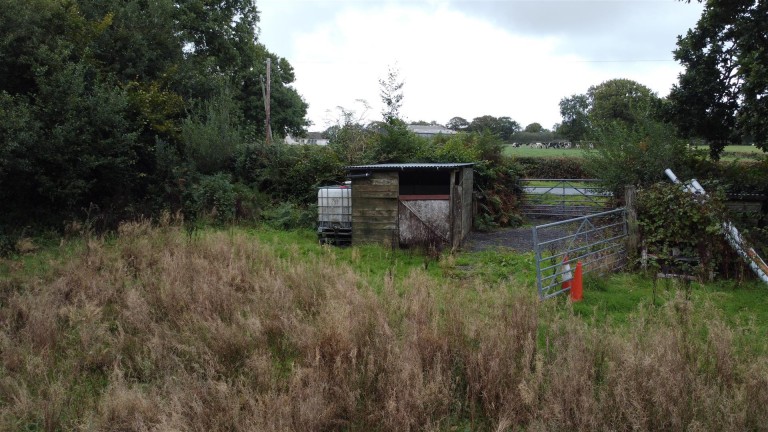 Images for Near Meshaw