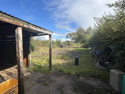 Images for Near Meshaw