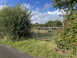 Images for Near Meshaw