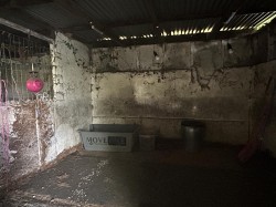 Images for Near Meshaw