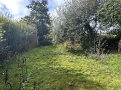 Images for Near Meshaw