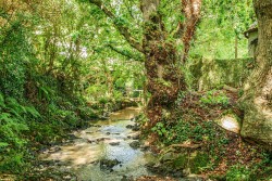 Images for Fremington, Barnstaple