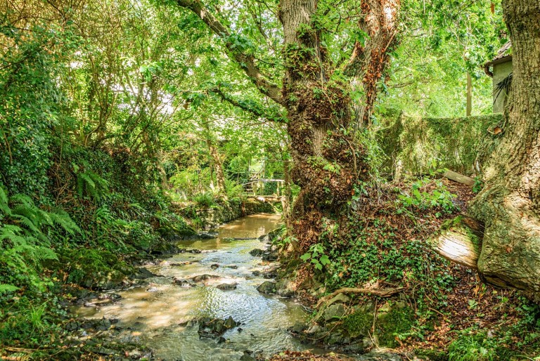 Images for Fremington, Barnstaple