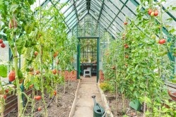 Images for Ickleton Road, Elmdon, Saffron Walden