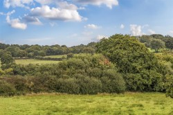 Images for Beaworthy