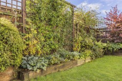 Images for Long Row Close, Saffron Walden