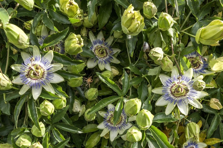 Images for Hilary Close, Axminster