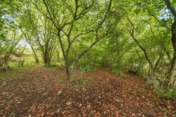 Images for Lyons Gate, Dorchester, Dorset