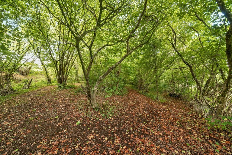 Images for Lyons Gate, Dorchester, Dorset