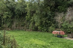 Images for Station Road, Lifton