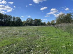 Images for Beremarsh, Shillingstone