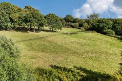 Images for Blackwater, Buckland St. Mary, Chard