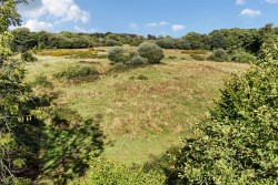 Images for Blackwater, Buckland St. Mary, Chard