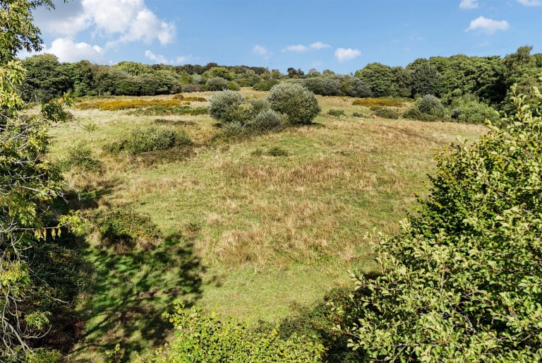 Images for Blackwater, Buckland St. Mary, Chard