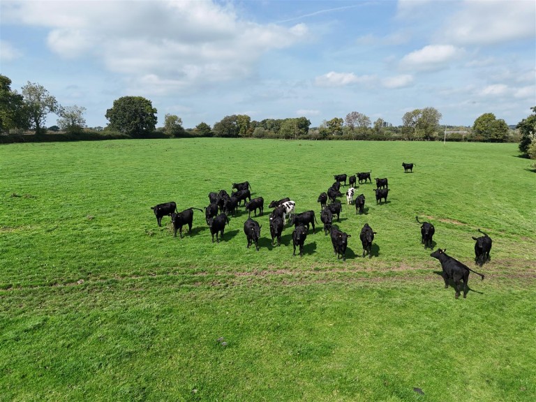 Images for Charlton Musgrove, Wincanton