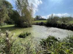 Images for Charlton Musgrove, Wincanton